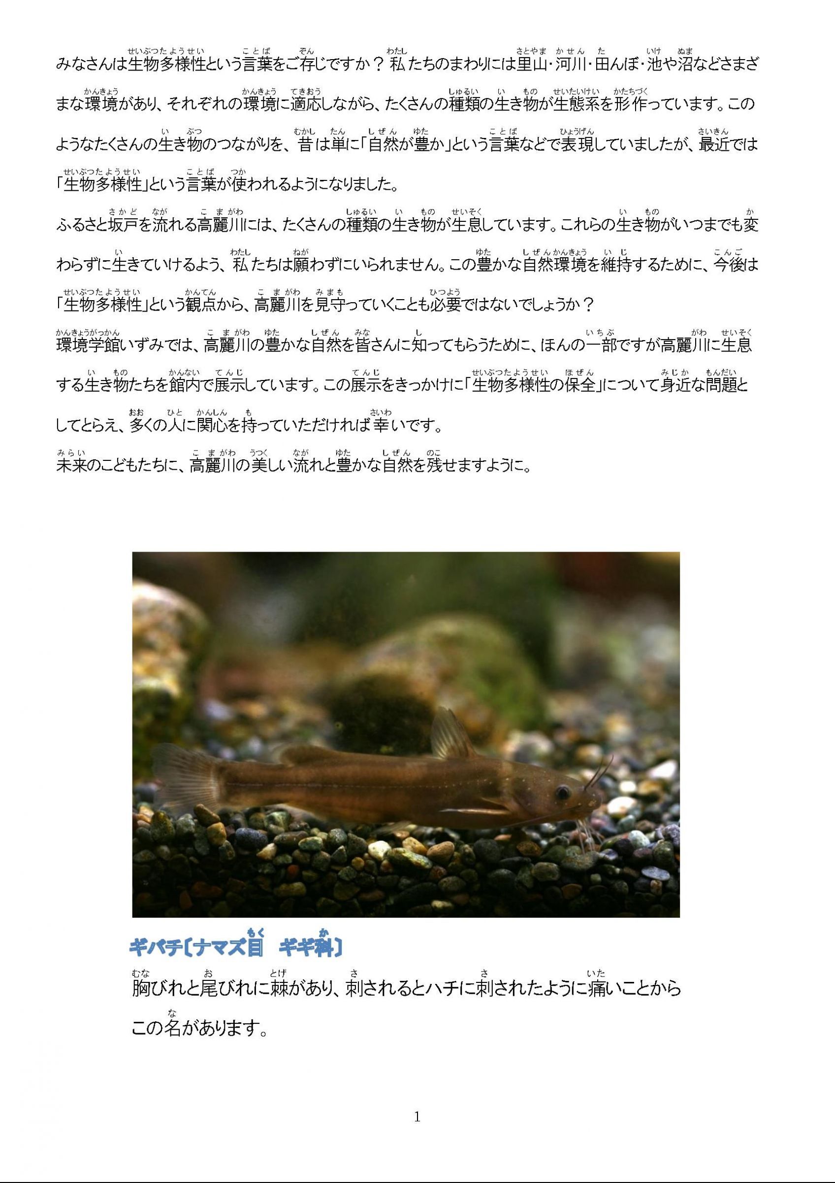 ウェブブック 高麗川の魚たち ウェブブック 高麗川の魚たち