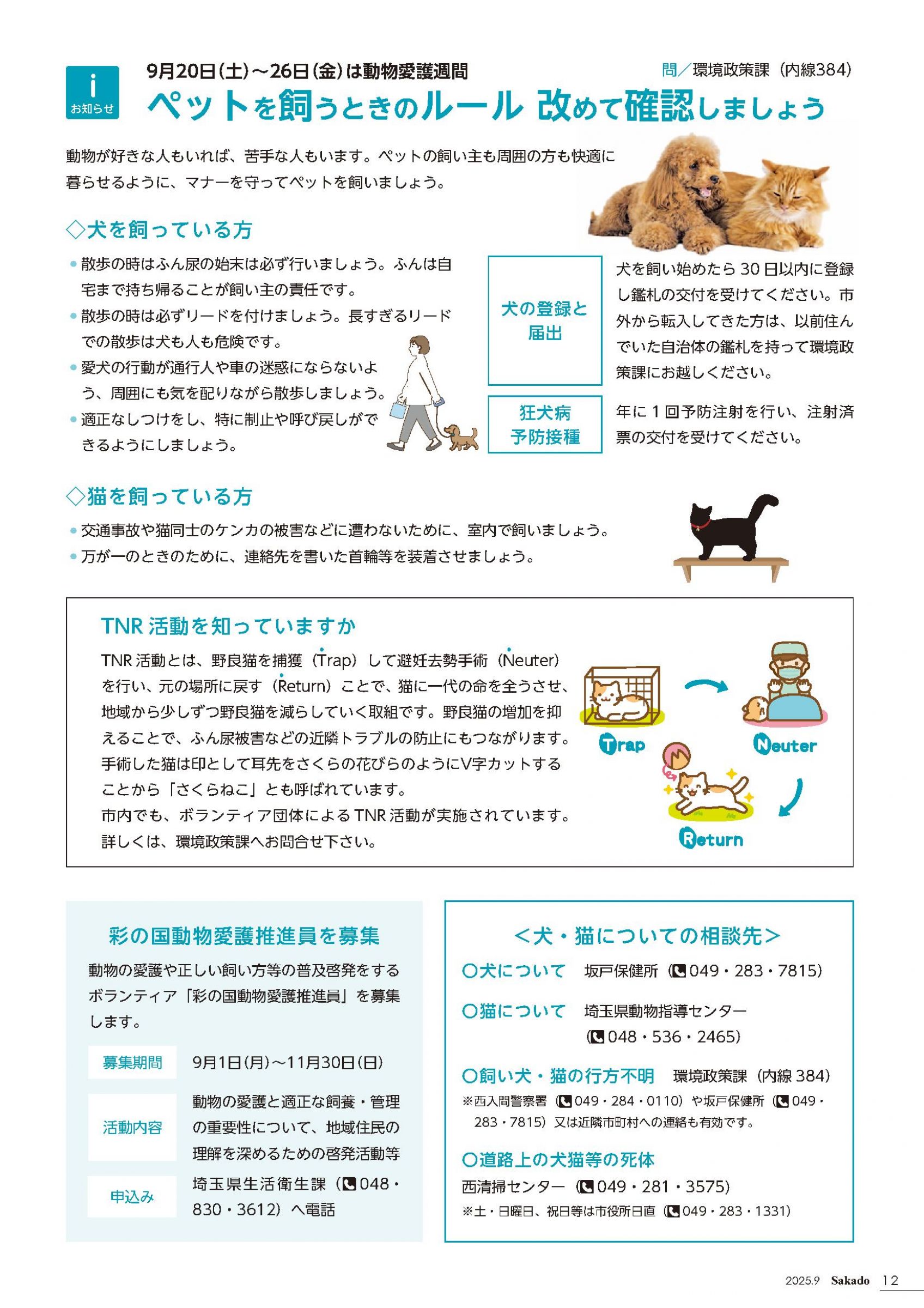 ウェブブック - 令和7年9月号