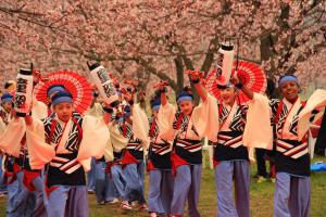 にっさい桜まつり.