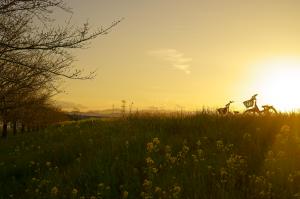 土手の夕暮れ