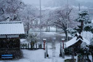 雪景色