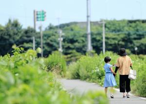 真夏のビオトープ