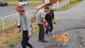 ドンちゃん（犬）と朝の運動