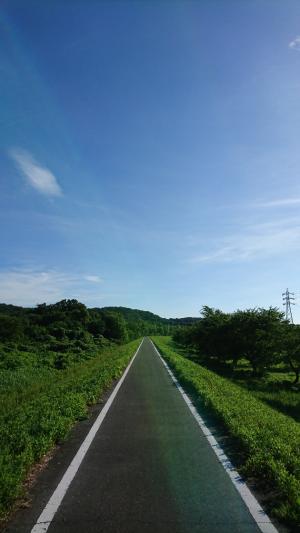 夏の北浅羽桜堤