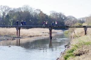 春の高麗川