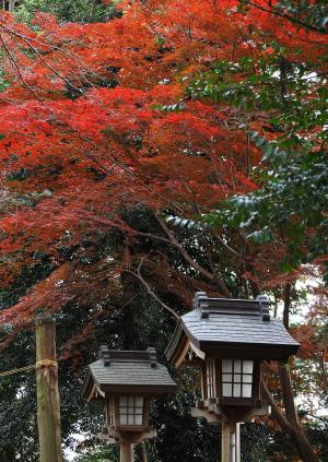 神楽に彩を