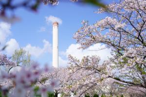 赤尾桜堤公園