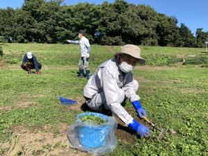 除草作業