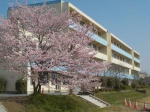 城山学園校舎の写真