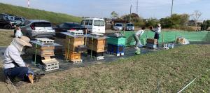 ミツバチボランティアが新たに設置した蜜源化ほ場（島田地区）2022年11月