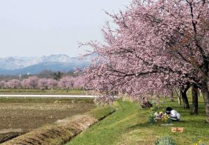 自然・風景部門　入選