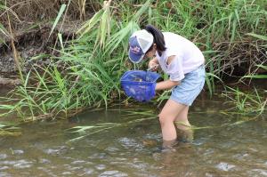 自然観察教室高麗川の魚