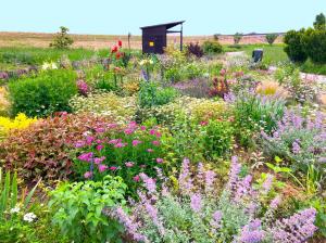 高麗川コミュニティパークのナチュラルガーデン