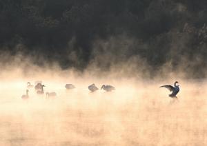 自然・風景部門　優秀賞　ごんぞう　晩冬の輝き