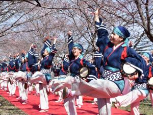 坂戸にっさい桜まつり