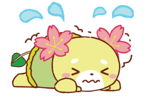 困っているさかろん