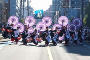 よさこい写真展写真