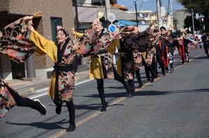 よさこい写真展写真