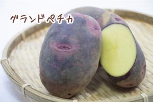 グランドペチカ写真