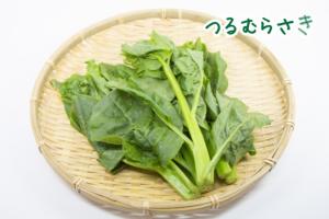 つるむらさき写真