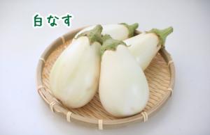 白なす写真