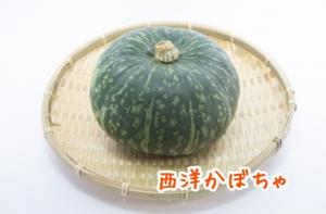 西洋かぼちゃ写真
