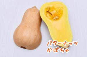 バターナッツかぼちゃ写真