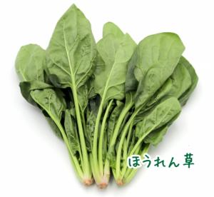 ほうれん草写真