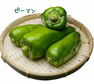 ピーマン写真
