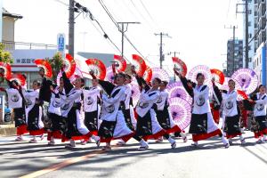 入選　鮮やかに舞い踊る