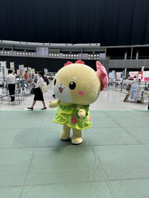 埼玉県内市町村職員採用合同説明会