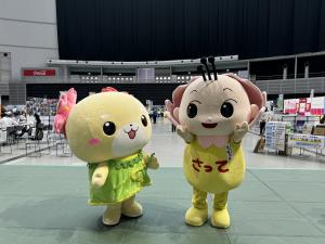埼玉県内市町村職員採用合同説明会