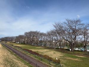 泉町桜堤公園