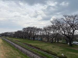 泉町桜堤公園