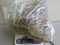 696.0g
