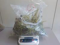 850.0g