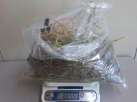 665.5g