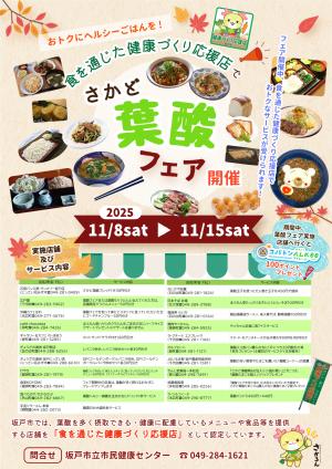 葉酸フェアチラシ