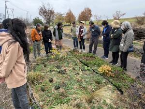 前回作った花壇を見学