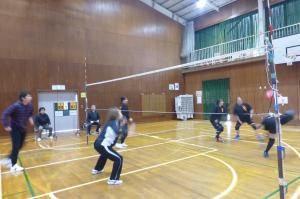 ソフトバレーボール1