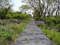 【画像】高麗川ふるさと遊歩道