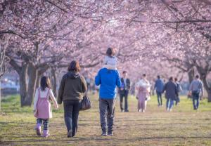 最優秀賞 肩車の特等席