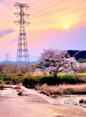 最優秀賞 夕日に染まる