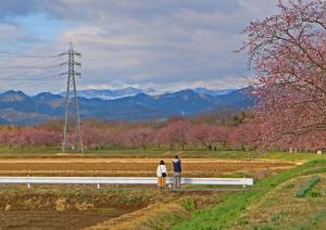 入選 山に映える