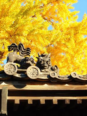 優秀賞 休臺寺の山門