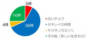 報告件数の円グラフ