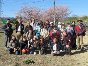 桜ウｵーク写真