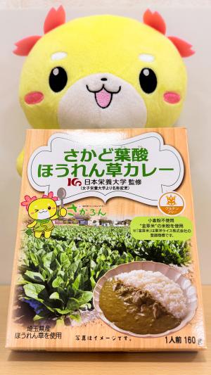 さかど葉酸ほうれん草カレー写真