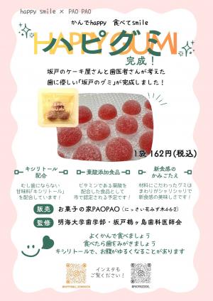 「ハピグミ」チラシ