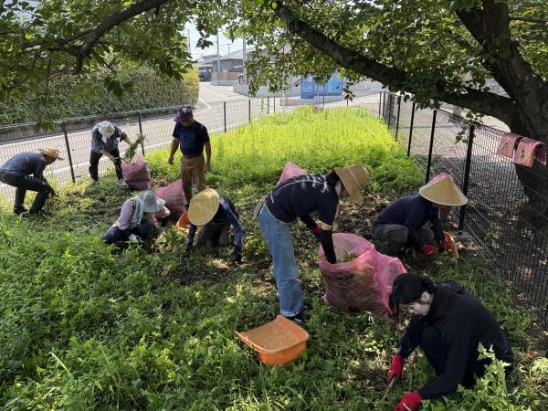 除草作業